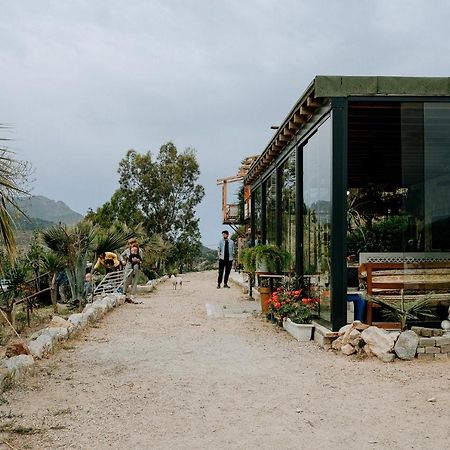 Eco Farm Boutique Hotel Turgutreis Exterior foto