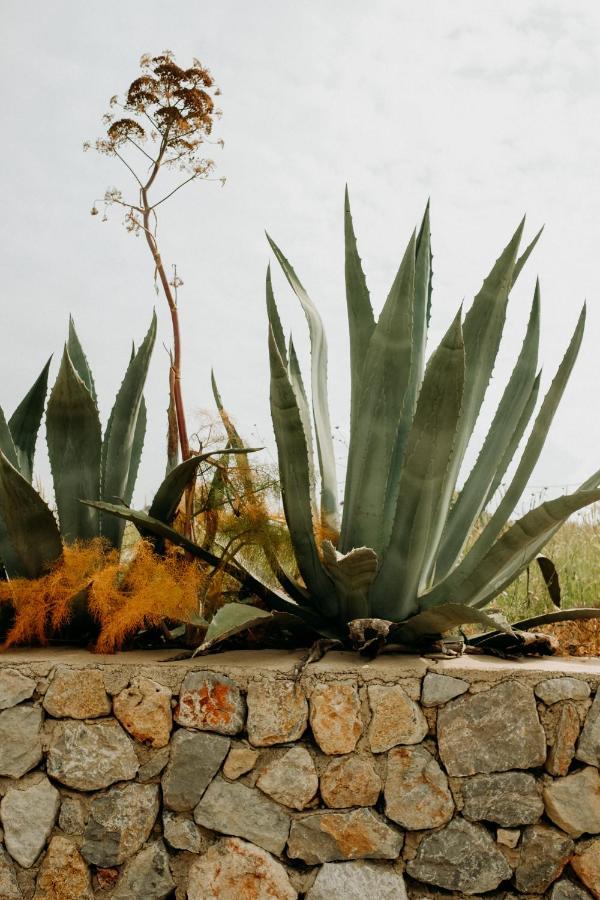 Eco Farm Boutique Hotel Turgutreis Exterior foto