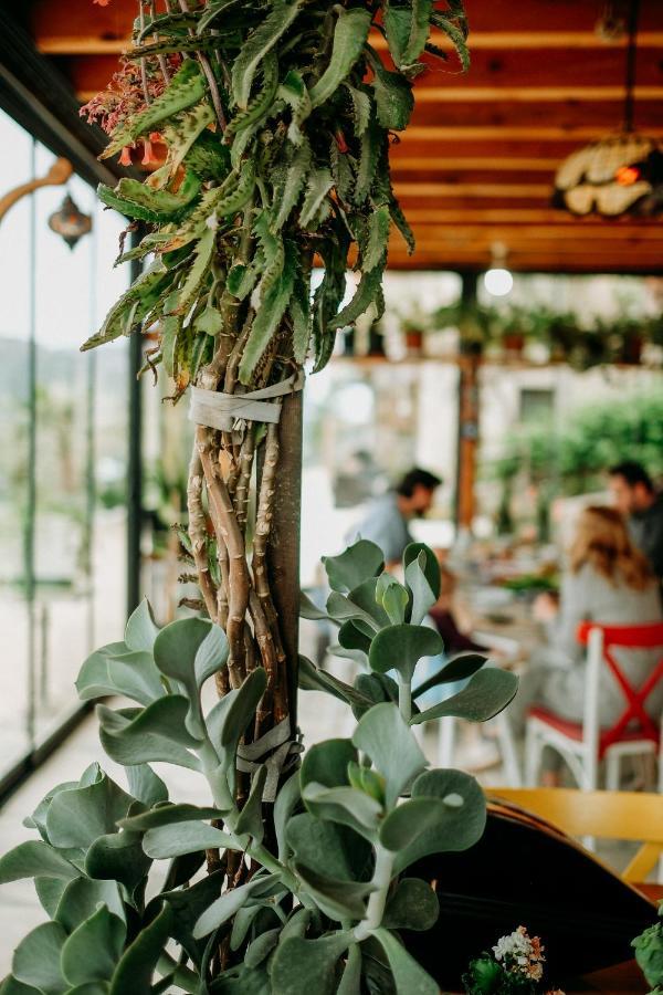 Eco Farm Boutique Hotel Turgutreis Exterior foto
