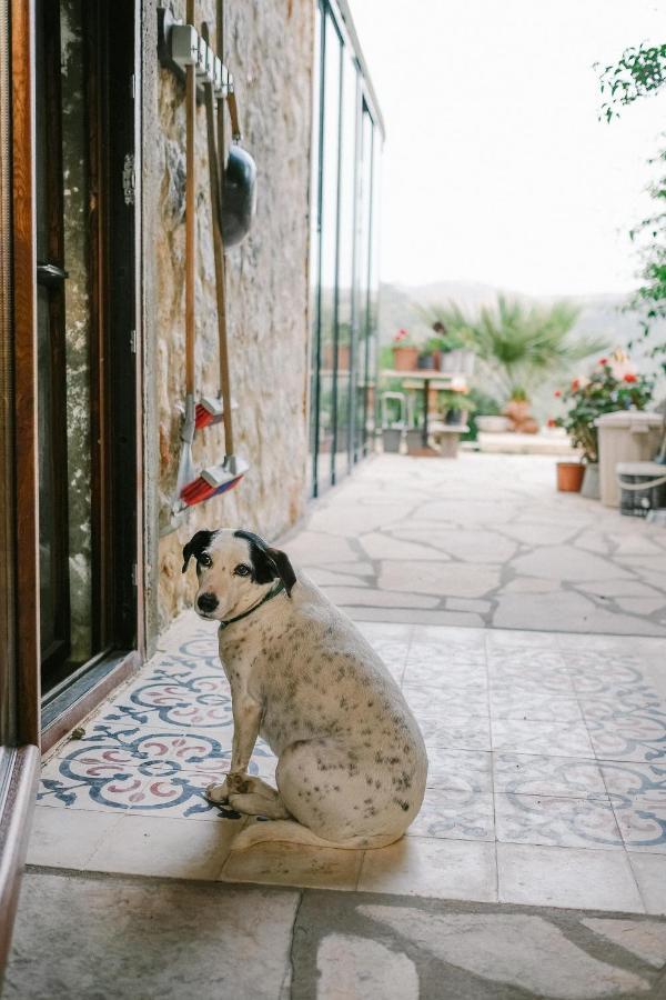 Eco Farm Boutique Hotel Turgutreis Exterior foto